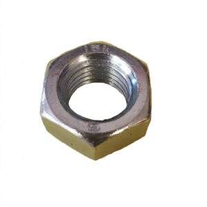 Dhollandia M20 Nut BMZ20